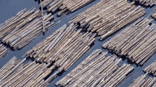 timber-floating-in-river.